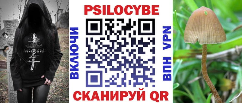 MEGA сайт продажа наркотиков Велиж Галлюциногенные грибы Psilocybe