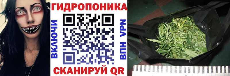 купить  цена  Велиж  shop наркотические препараты  Конопля Bruce Banner 